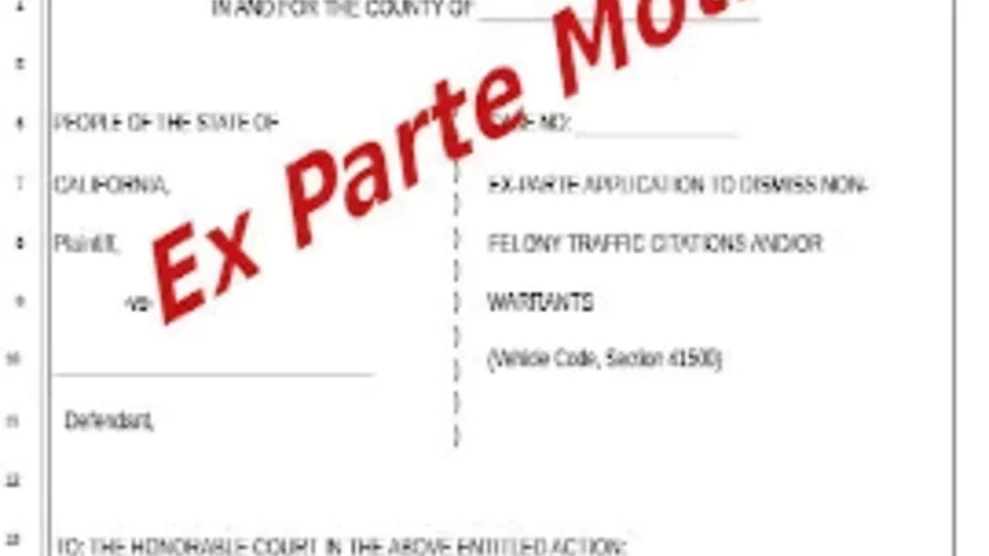 Ex parte motion forms, emergency order paperwork, hearing packets, and paralegal document support from Court Documents